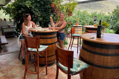 Gran Canaria pocket wine tour. Best wines, wineries & views