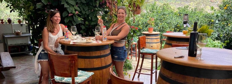 Grande Canarie : visite des meilleurs vignobles et panoramas