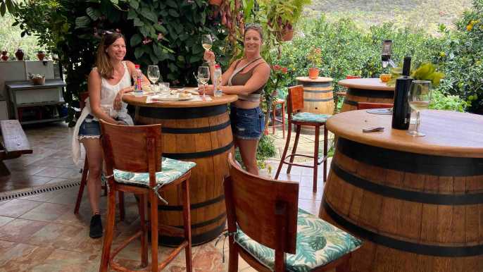 Las Palmas: Gran Canaria's Best Wineries and Views Tour