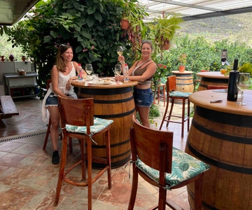 Gran Canaria: Best Wineries and Views Tour