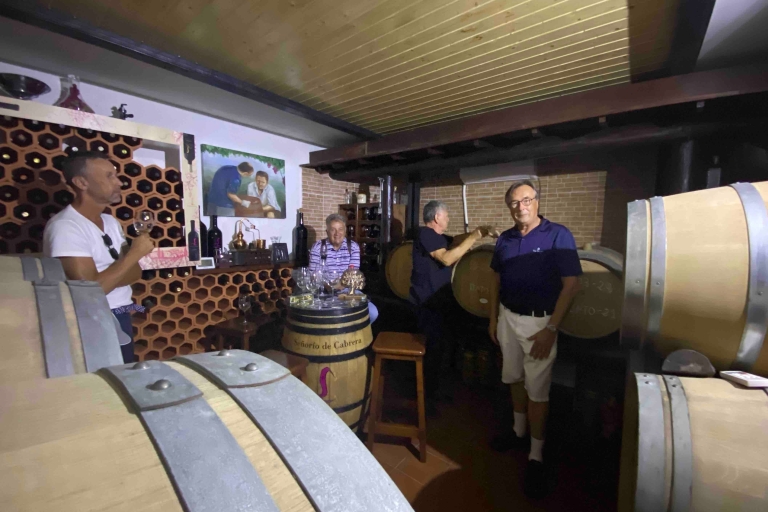 Gran Canarias beste Weingüter und BesichtigungenGran Canarias Top-Weinkellereien und Sightseeing