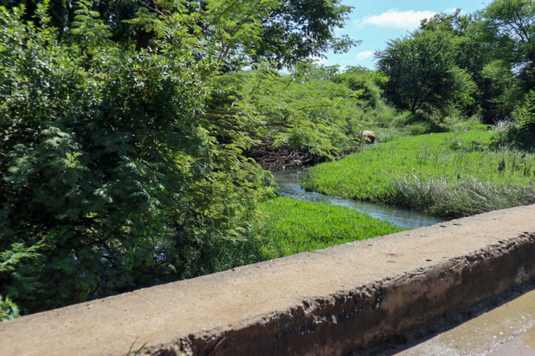 Gaborone: Damen-Detektei Nr. 1 - Geführte Tour