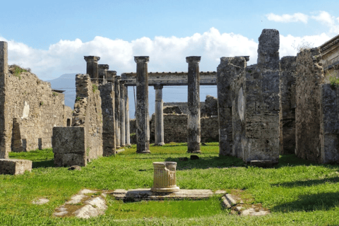 Private Pompeii Tour en Archeologisch Museum van Napels