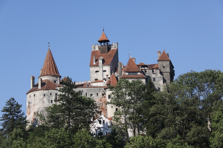 From Bucharest: Bear Sanctuary and Dracula Castle Day Tour