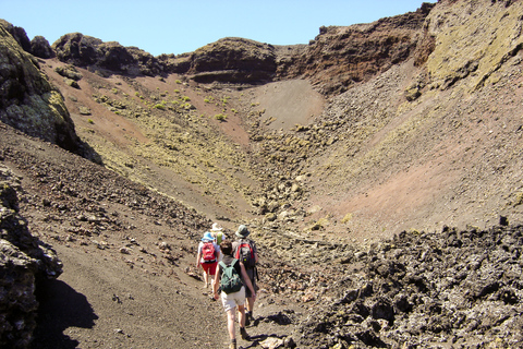 Lanzarote: Vandring i vulkanenAvhämtning på östkusten