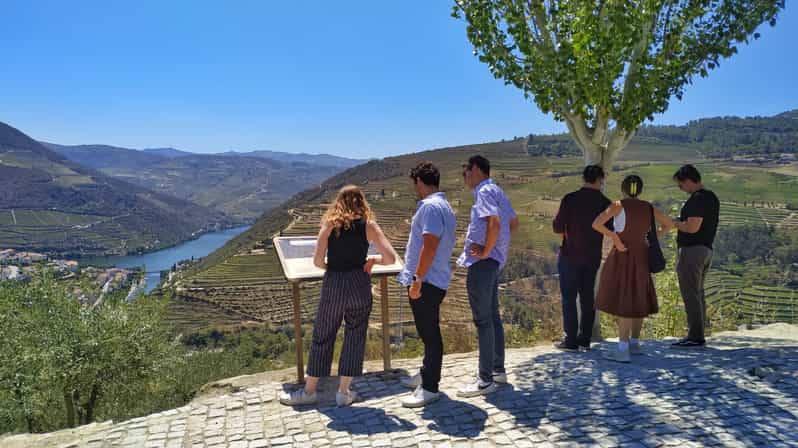 Douro Valley: Wine Tasting