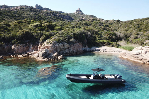 Calvi: privé speedboottocht naar wilde stranden met aperitief