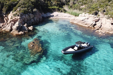 Calvi: Prywatna wycieczka łodzią motorową na dzikie plaże z aperitifem