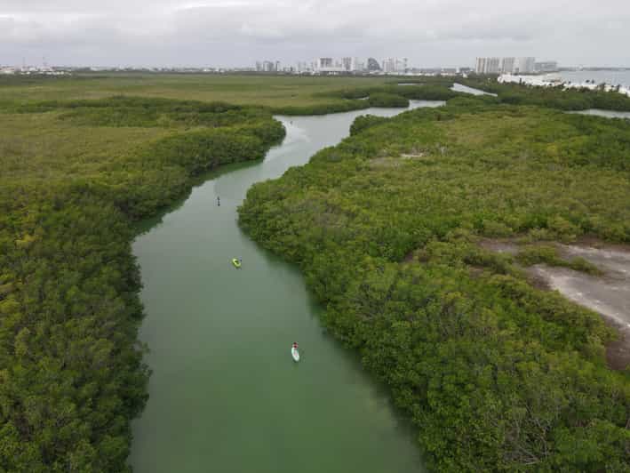 Cancun Nichupté Lagoon Mangroves Guided Tour by Kayak GetYourGuide
