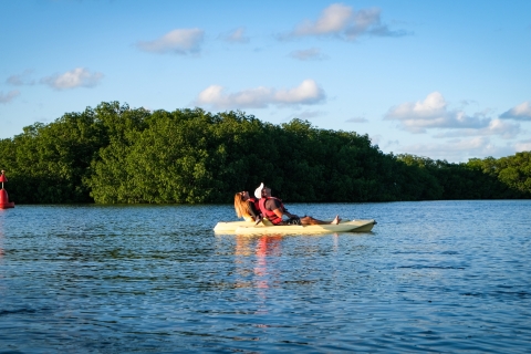 Cancun erkunden: Geführte Kajaktour durch die MangrovenTour bei Sonnenuntergang: Geführte Kajaktour durch die Mangroven