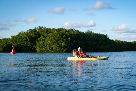 Exploring Cancun: Guided kayak tour through the Mangroves Sunset Tour: Guided kayak tour through the Mangroves