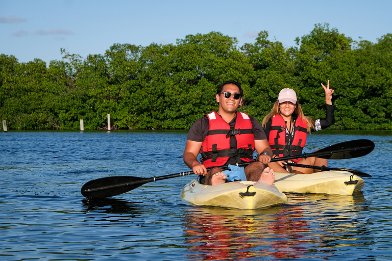 Explorando Cancún: Excursión guiada en kayak por los ManglaresExcursión al atardecer: Excursión guiada en kayak por los Manglares