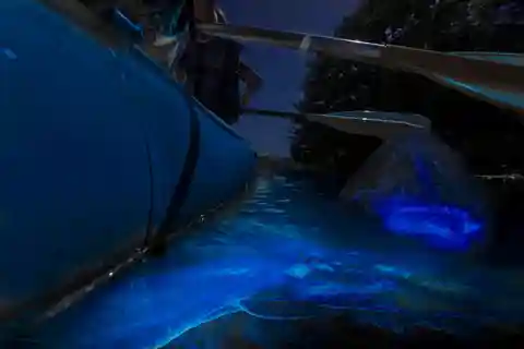 Cocoa Beach: Bioluminescerande paddelflotte-tur