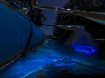 Cocoa Beach: tour in gommone bioluminescente