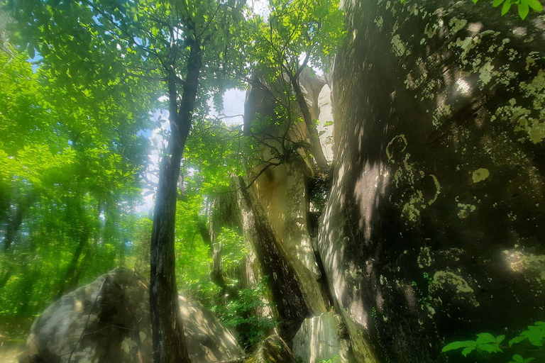 Bergzug von Nizza: Wanderung, Mystischer Wald, MeteoritenregenDER BERGZUG: WANDERUNG, MYSTISCHER WALD, METEORITEN