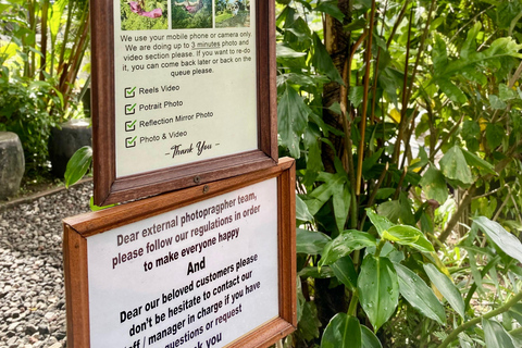 Bali: Swings, Koi Fish Photo Boat, Monkey Forest & Waterfall Private Tour all Ticket include