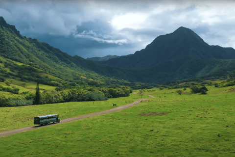 Kaneohe: Kualoa Ranch Hollywood Film Locations Tour by Bus