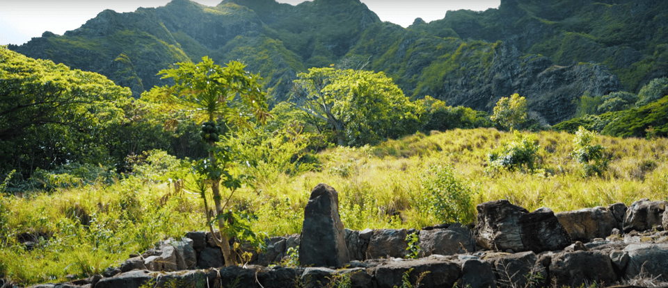 Oahu, Kualoa Open Air Jungle Expedition Tour - Housity