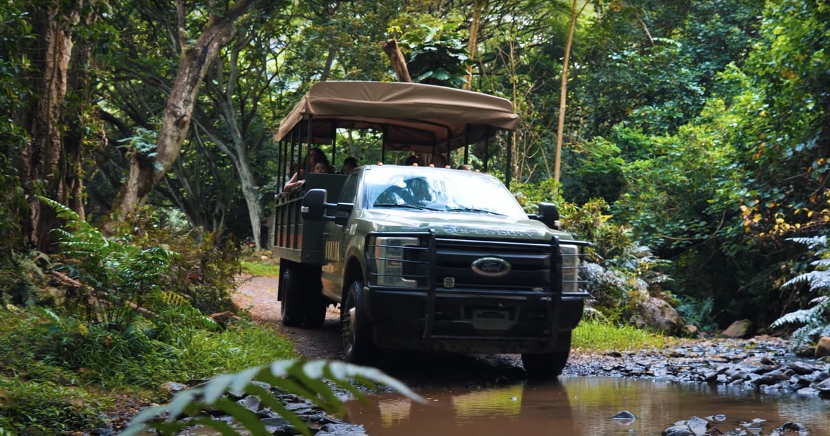 jungle tour oahu