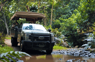 Oahu: Kualoa-Dschungel-Expeditionstour im offenen Geländewagen