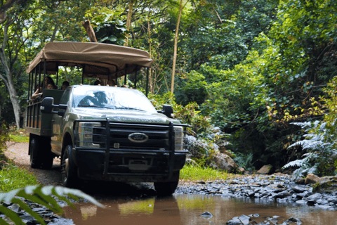 Oahu: Kualoa Open Air Jungle Expedition Tour Kualoa Open Air Jungle Expedition Tour with Meeting Point