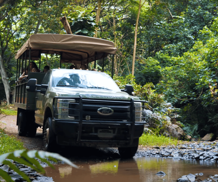 Oahu: Kualoa Open Air Jungle Expedition Tour