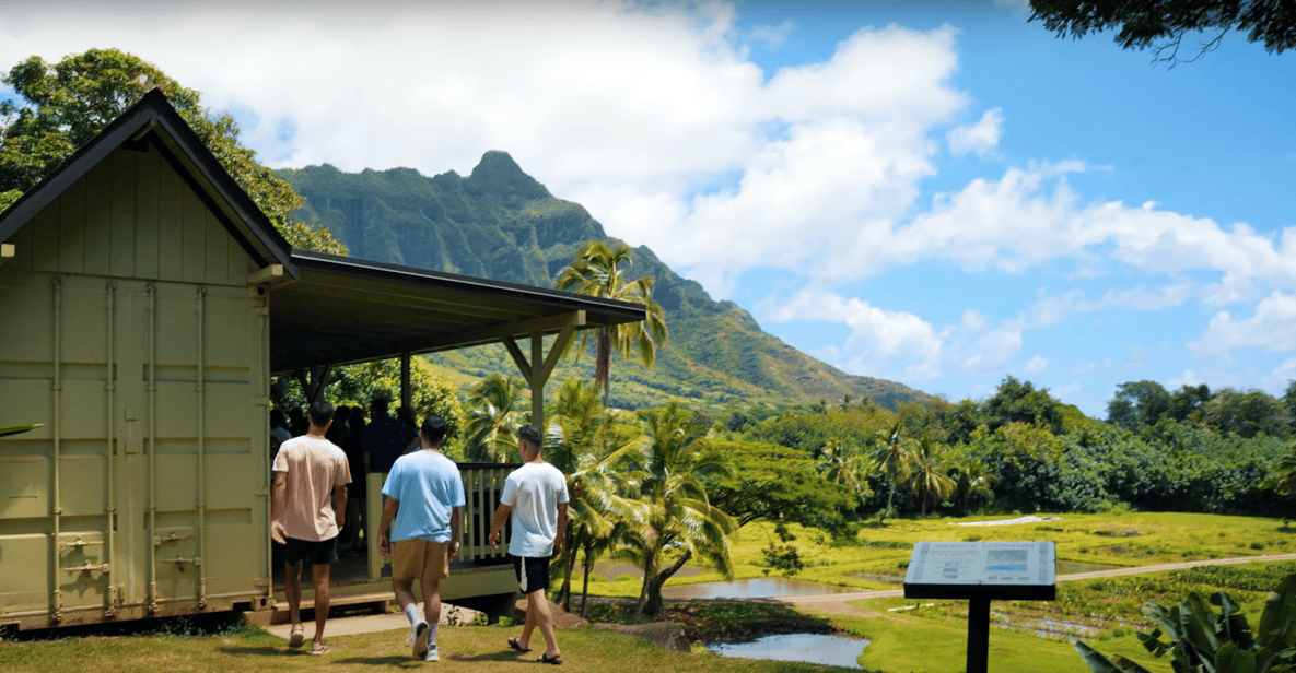 Oahu: Kualoa Farm and Secret Island Tour by Trolley | GetYourGuide