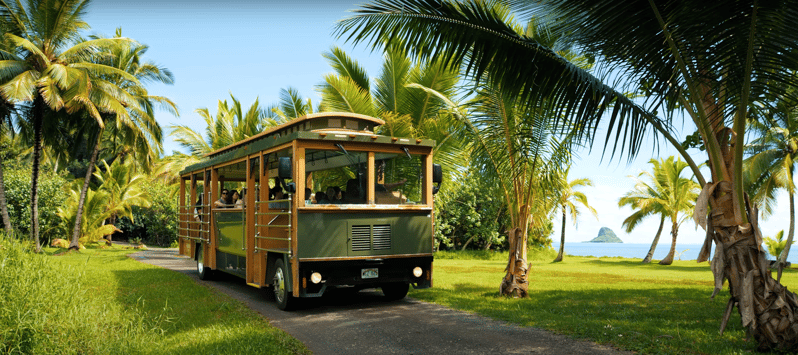 Oahu: Kualoa Grown Farm & Secret Island Tour | GetYourGuide