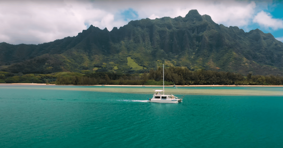 Oahu Molii Fischteich und Kaneohe Bay Katamaran Tour GetYourGuide