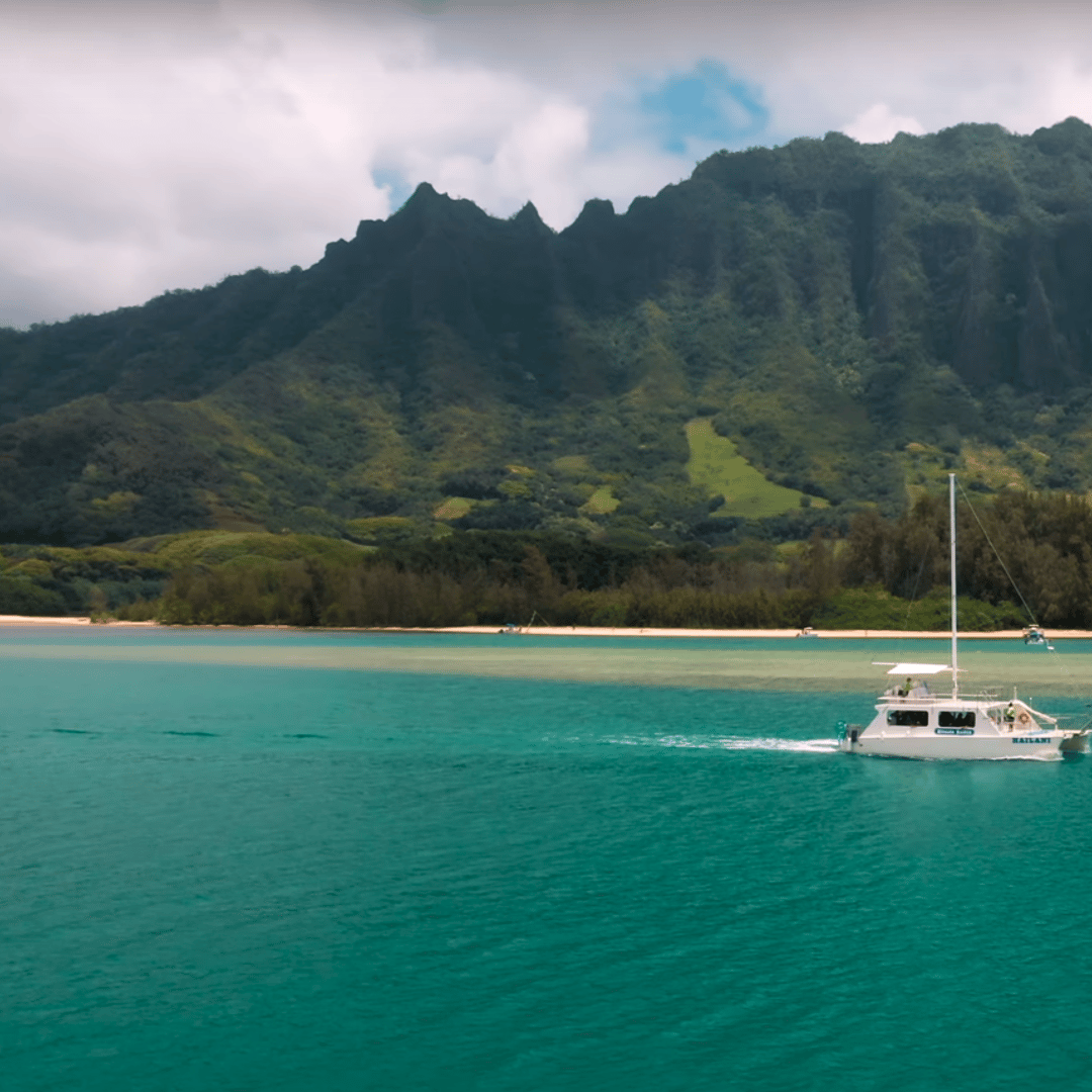 Meerjungfrau Muschel Hnmdmyi 3x2.4m Fotohintergrund Unter Dem Meer  Tiefblaues Meer Fotostudio Hintergrund, image size:1080x1080