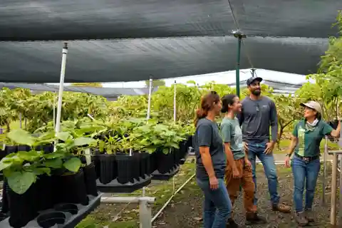 Oahu: Kualoa Ranch Malama Sustainability and Gardening Tour