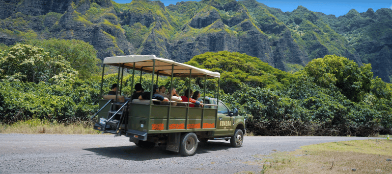 Oahu: Kualoa Jurassic Movie Set Adventure Tour | GetYourGuide