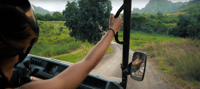 Kaneohe Bachings UTV Tours - Housity