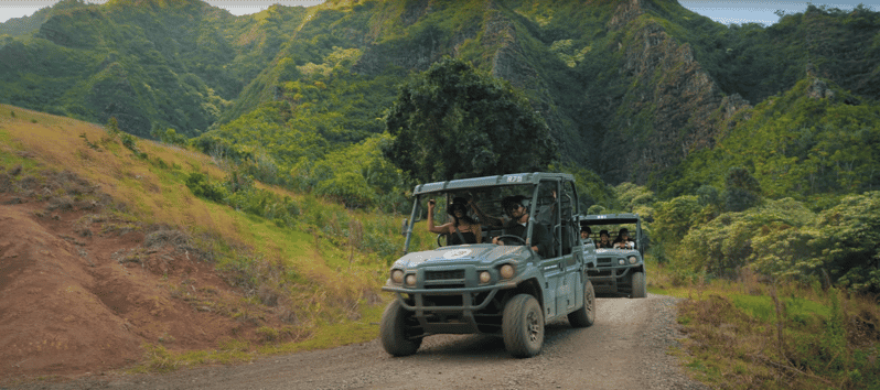 oahu raptor tour