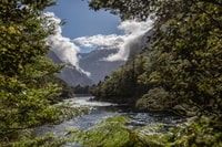 Piste de Milford, randonnée guidée d'une journée et croisière en nature - Hizvo