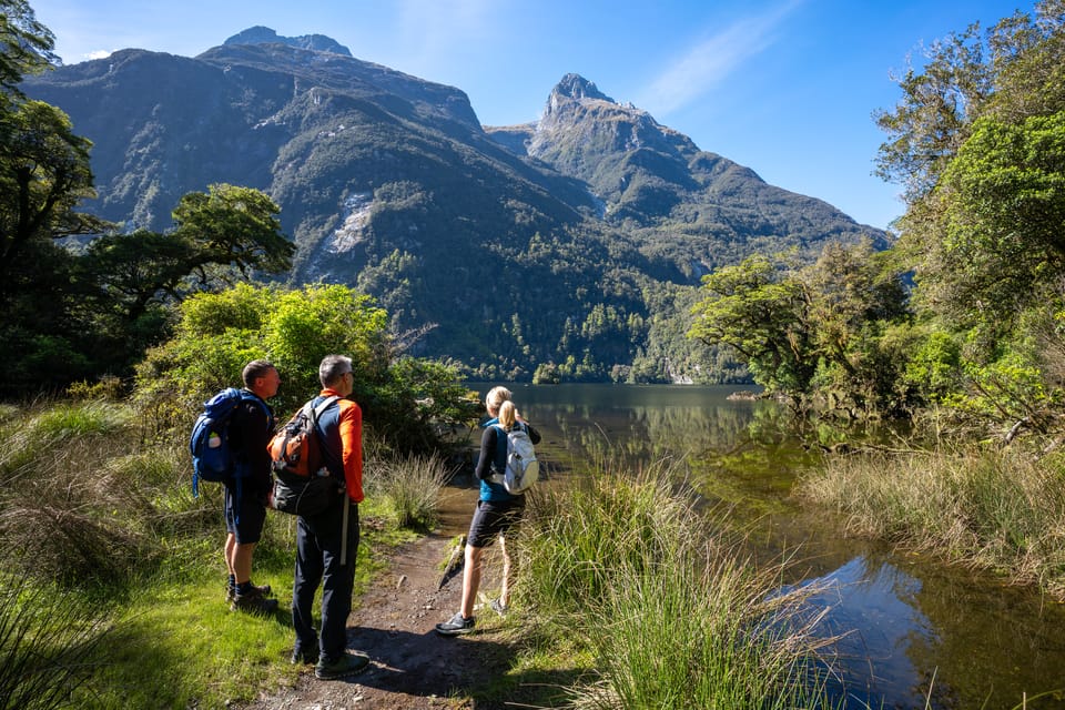 Milford Sound Half Day Guided Milford Track Walk GetYourGuide