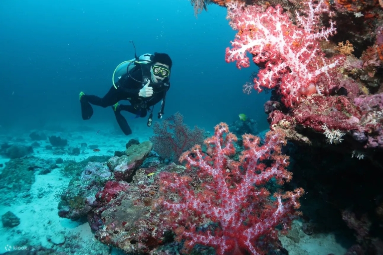 Prywatna wyspa Maithon: nurkowanie z rurką lub akwalungiem - pół dniaTylko snorkeling – wyspa Maiton