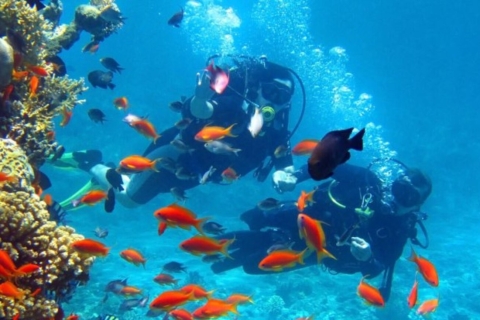 Isla Privada Maithon: Esnórquel o submarinismo - Medio díaMañana de Repaso de Buceo: 2 Inmersiones -Buceadores Certificados