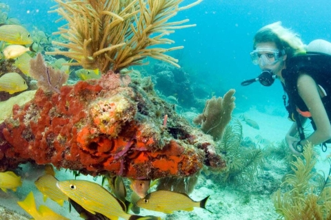 Isla Privada Maithon: Esnórquel o submarinismo - Medio díaFUNDIVE 2 Mañana: 2 Inmersiones-Buceadores Certificados