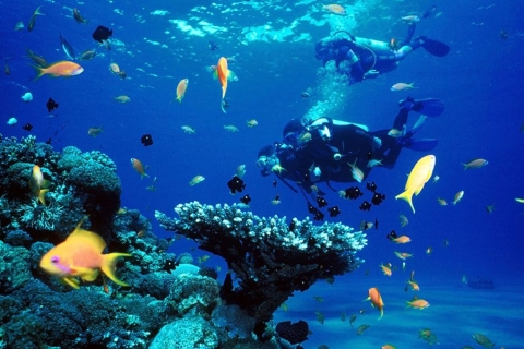 Isla Privada Maithon: Esnórquel o submarinismo - Medio díaMañana de Repaso de Buceo: 2 Inmersiones -Buceadores Certificados