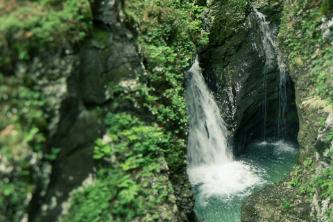 Bled: verbazingwekkende canyoning-avontuurlijke tour van een halve dag