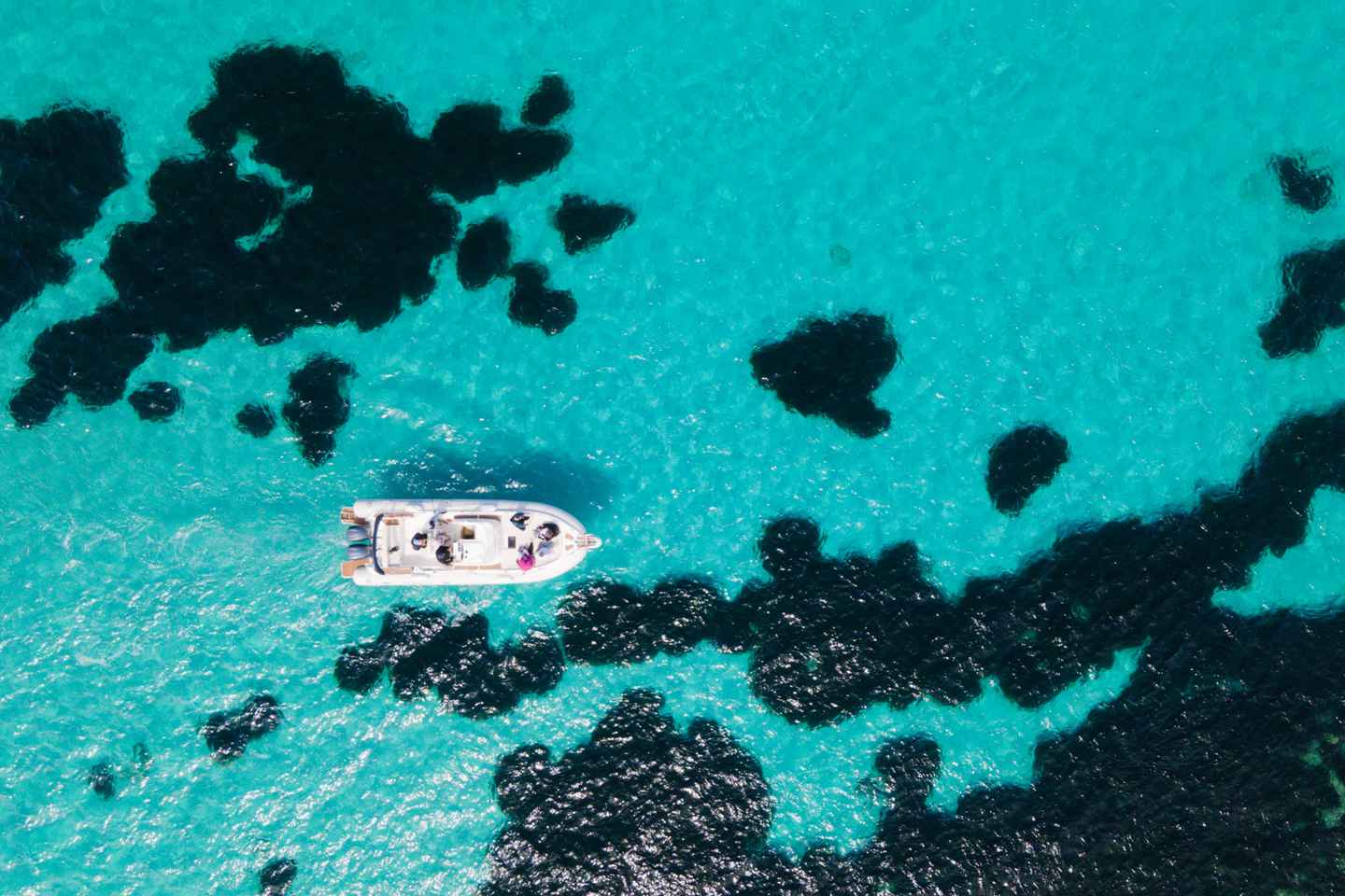 Egadi Boat Experience: Favignana & Levanzo from Trapani