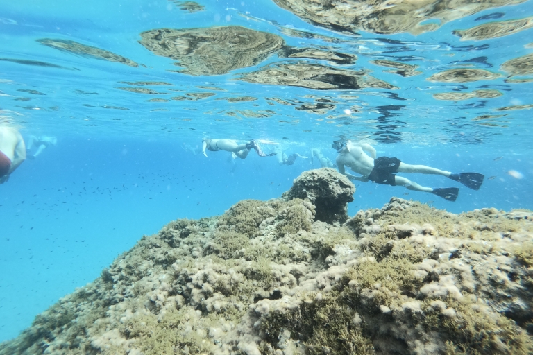 Malta: Excursión de snorkel
