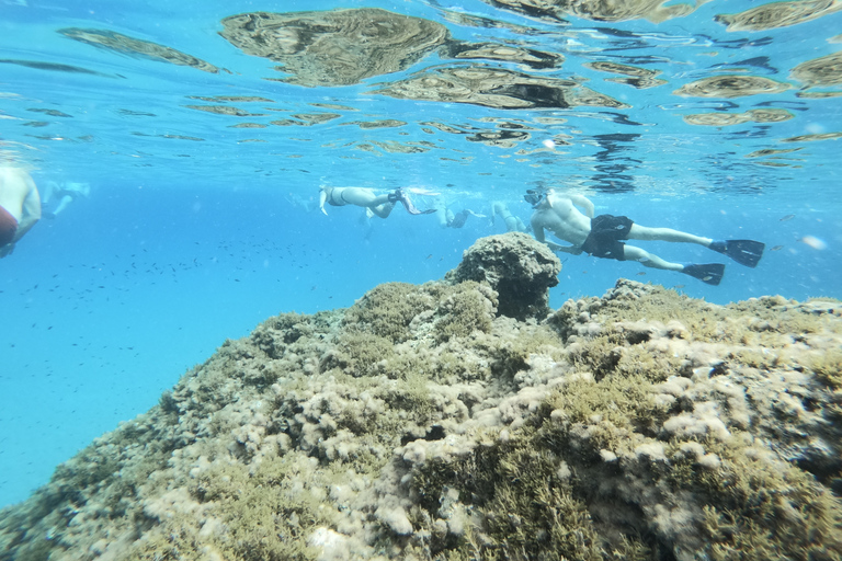 Malta: Snorkeling Tour around the Maltese Islands Snorkeling Around Malta