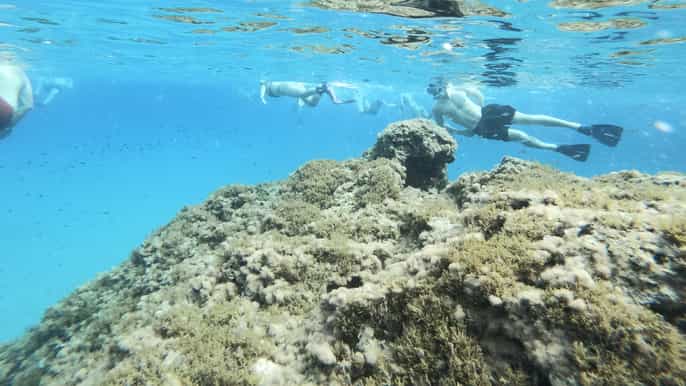 Malta: Snorkeling Tour