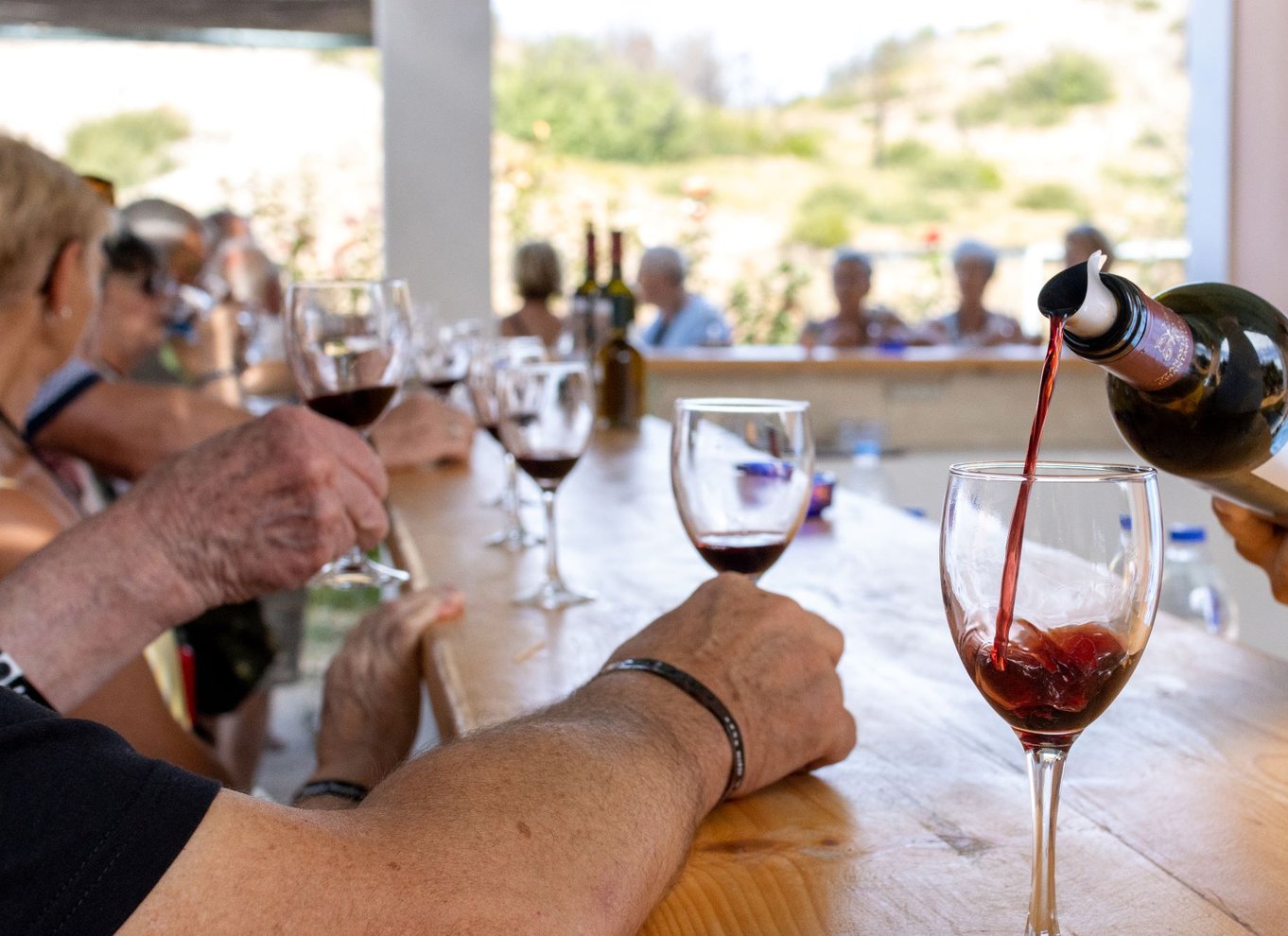 Rhodos: Madlavningskursus og vinsmagning