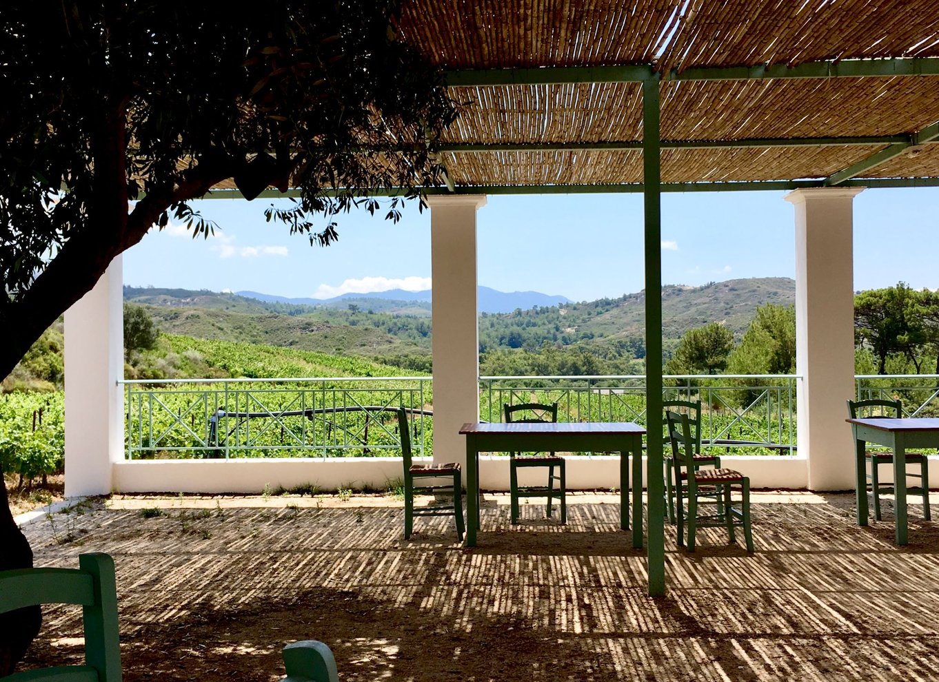 Rhodos: Madlavningskursus og vinsmagning