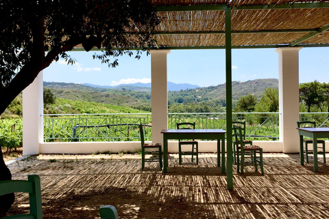 Rhodes: Cooking Class and Wine Tasting Experience
