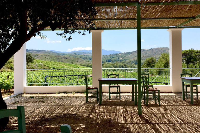 Rhodes: Cooking Class and Wine Tasting Experience