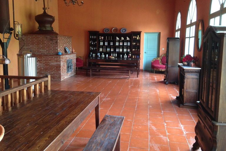 Rhodes: Cooking Class and Wine Tasting Experience